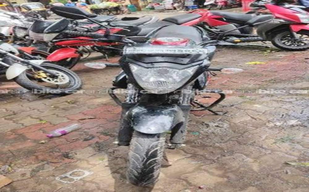 suzuki gixxer rear drum brake shoe price