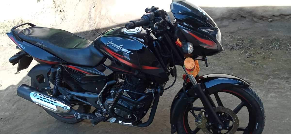 Used Bajaj Pulsar 150 Bike In Ranchi 2019 Model India At Best Price Id 41138